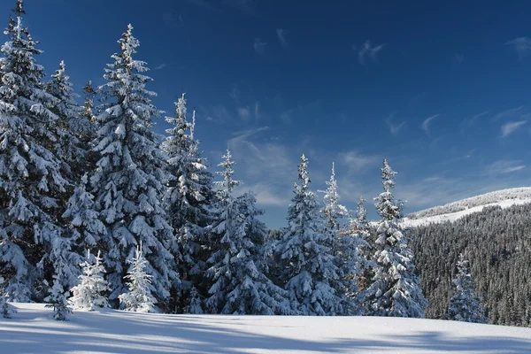 겨울 산에 — 스톡 사진