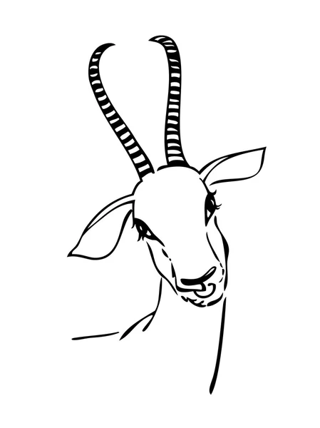 Stock vector Goat portrait