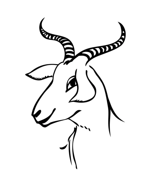 Retrato de cabra — Vetor de Stock