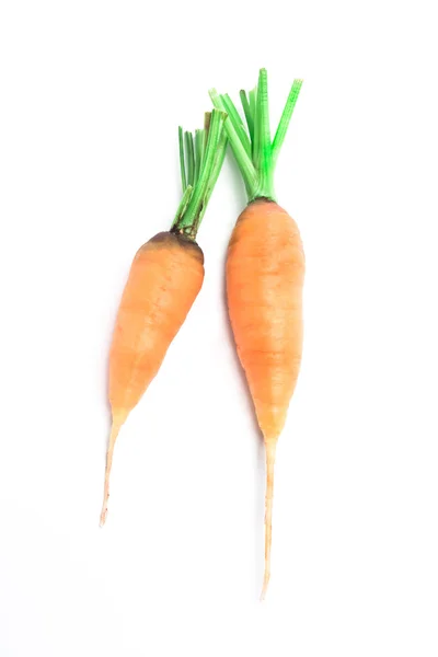 stock image Fresh carrots