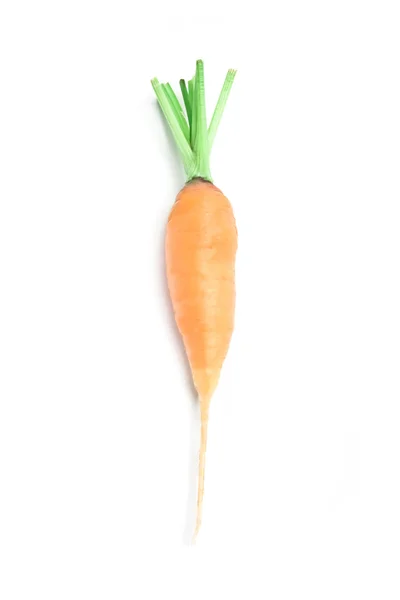 Fresh carrot Stock Photo