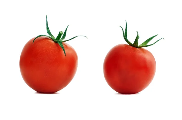 Dvě červené celé rajče — Stock fotografie