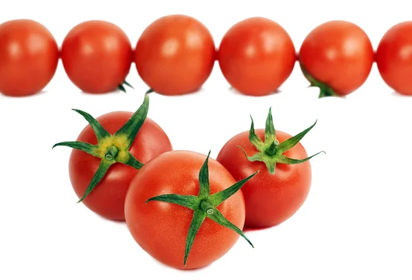 잘 익은 빨간 토마토의 그룹 — 스톡 사진