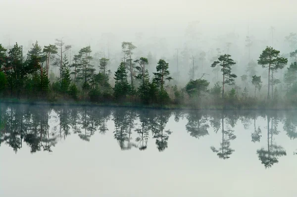 大河湖の朝 — ストック写真