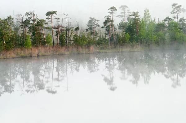 静かな湖 — ストック写真
