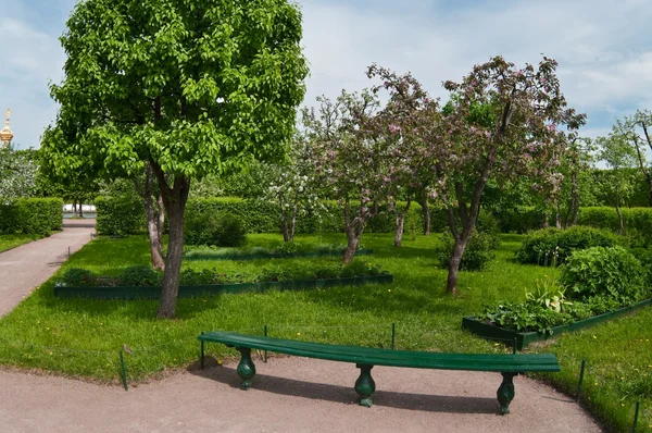 Apple bomen tuin in het voorjaar. — Stockfoto