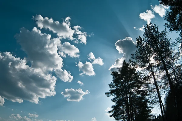 stock image Clouds on blue sky with sunbeams from forest trees