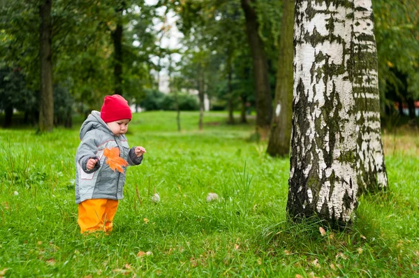 Um bebê pequeno um ano de idade andando no parque de outono com bordo — Fotografia de Stock
