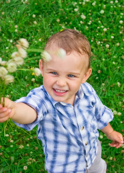 2 years old boy playing in park — Stock Photo, Image