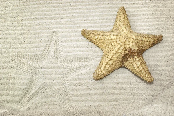 Starfish on sand with starfish imprint — Stock Photo, Image