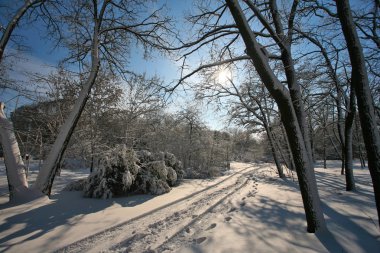 karlı kış parkı