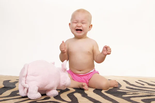 Crying little baby girl on artificial zebra skin at the studio o — Stock Photo, Image