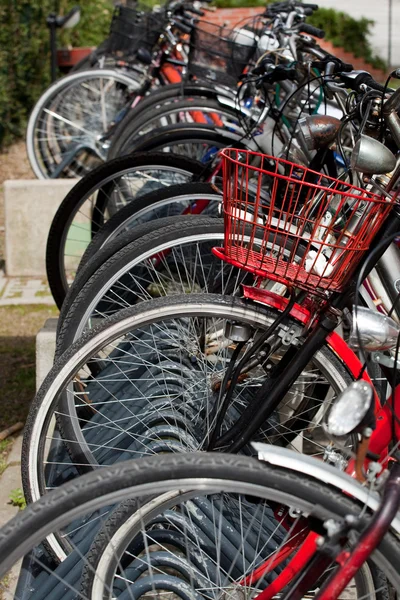 Μέρη των ποδηλάτων σε ένα ράφι ποδήλατο — Φωτογραφία Αρχείου
