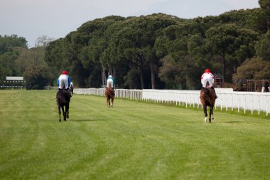 hippodrome de dörtnala yarış, at