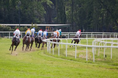 hippodrome de dörtnala yarış, at