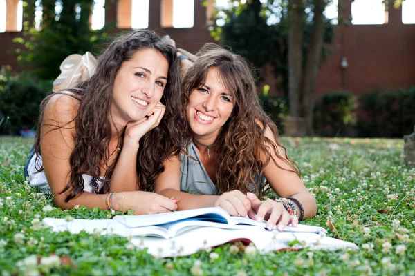 Две девушки улыбаются и учатся в парке — стоковое фото