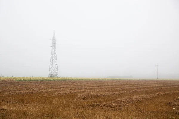 stock image Fields lost in the Mist