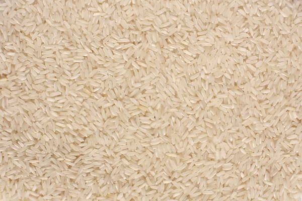 Pakistani natural rice — Stock Photo, Image