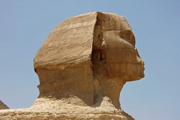 Głowę Sfinksa — Zdjęcie stockowe
