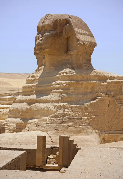 Posąg Sfinksa — Zdjęcie stockowe