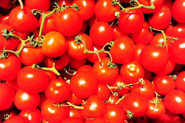 stock image Tomatoes