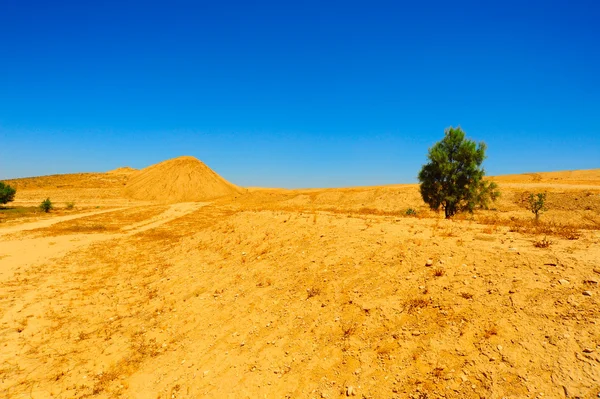 stock image Sand Hill