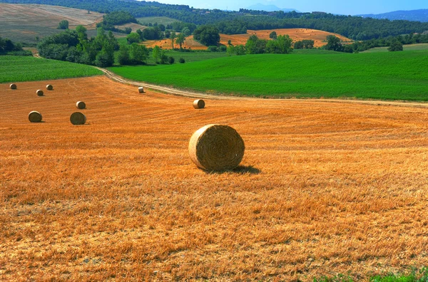 Toscana landskap — Stockfoto