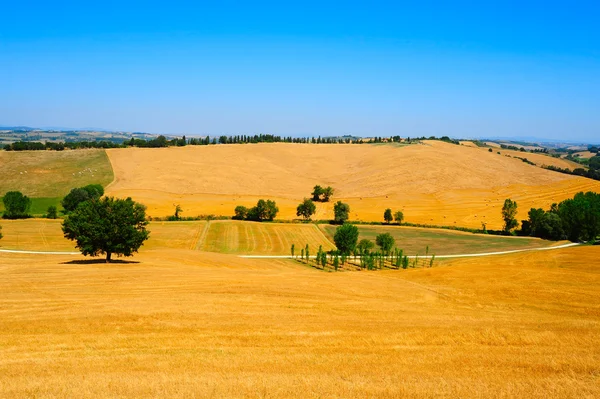 多くの干し草の俵とトスカーナの風景 — ストック写真