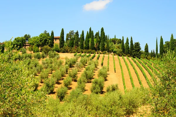Kulle i Toscana — Stockfoto