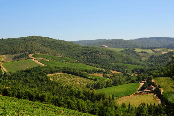 Hill Of Tuscany — Stock Photo, Image