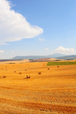 Hay balyaları