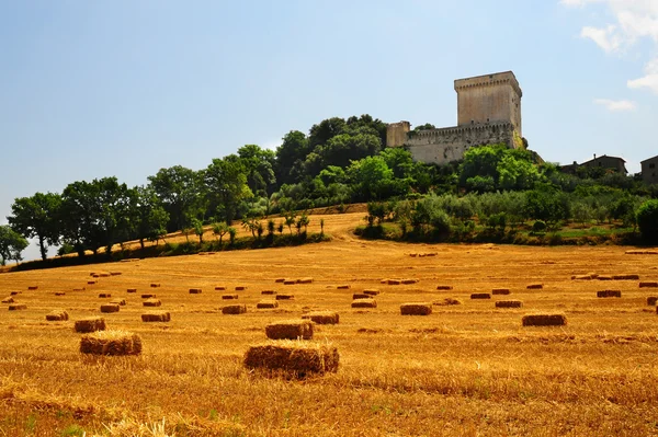 stock image Ancient Fortress