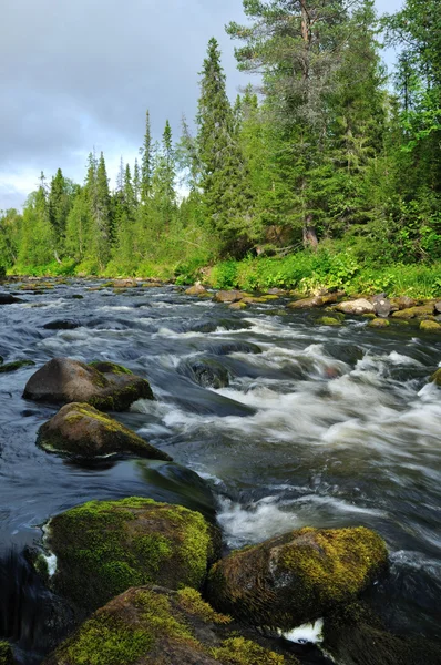 Râului — Fotografie, imagine de stoc