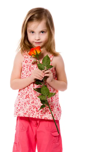 Dívka drží růžové — Stock fotografie
