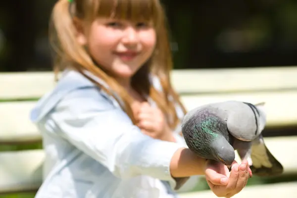 Menina alimentando pombo — Fotografia de Stock