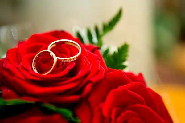 stock image Wedding Rings
