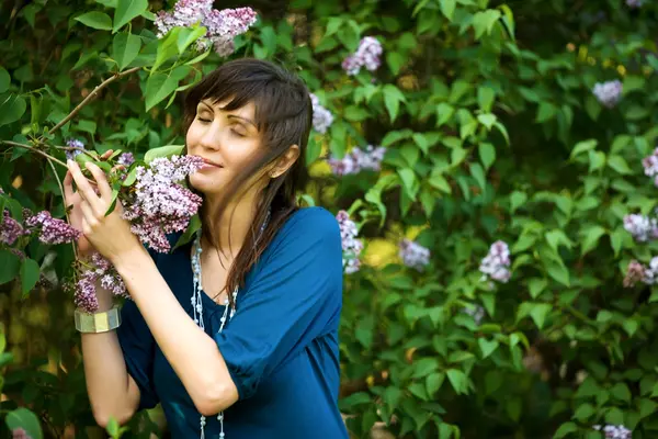 Lila geur — Stockfoto