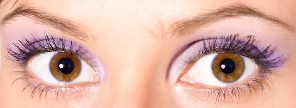 Smukke brune øjne - Stock-foto