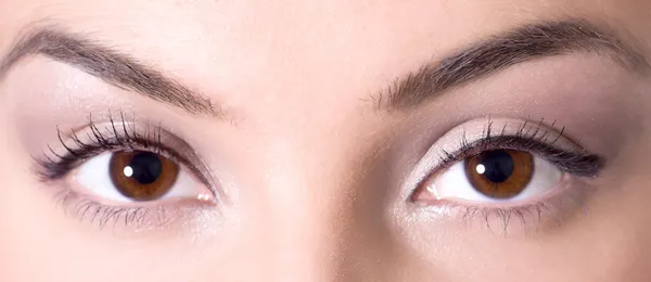 Smukke brune øjne - Stock-foto