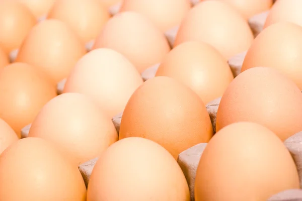 stock image Brown Eggs