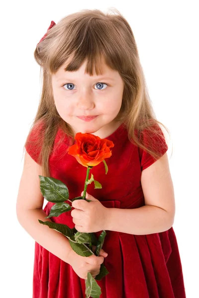 Girl holding rose — Stock Photo, Image