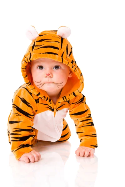 Tiger baby — Stockfoto
