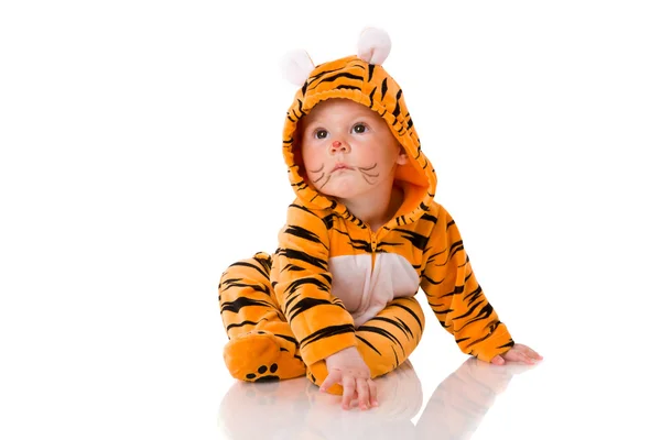 Tigre bebê — Fotografia de Stock