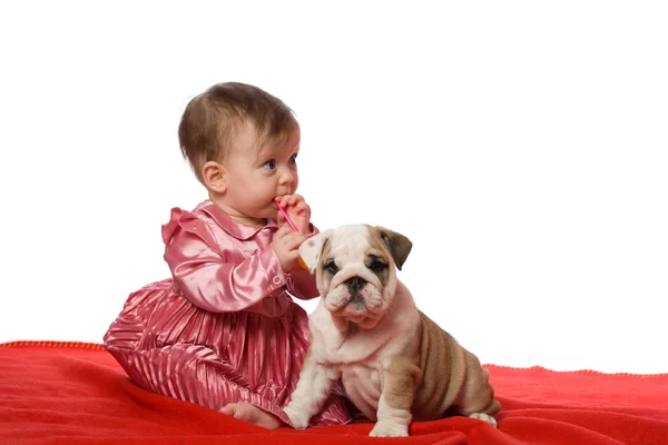 Baby en puppy — Stockfoto
