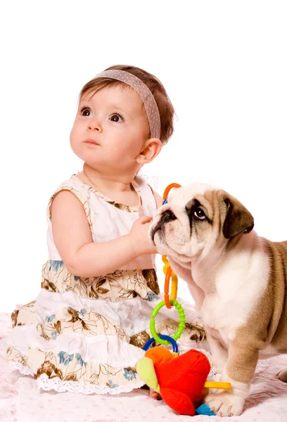 Bebê e cachorro — Fotografia de Stock