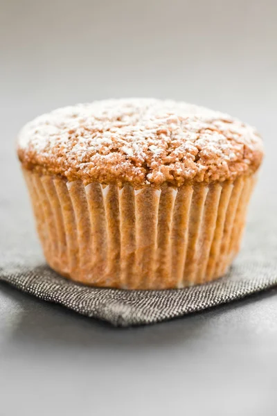 Muffin on Grey — Stock Photo, Image
