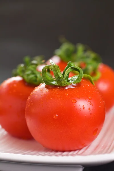 Kırmızı domates portre — Stok fotoğraf