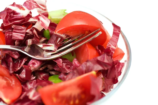 Nahaufnahme roter Salat — Stockfoto