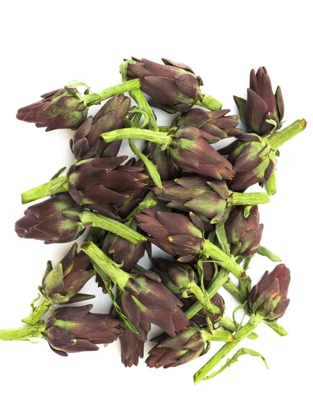 Stock image Artichokes Isolated