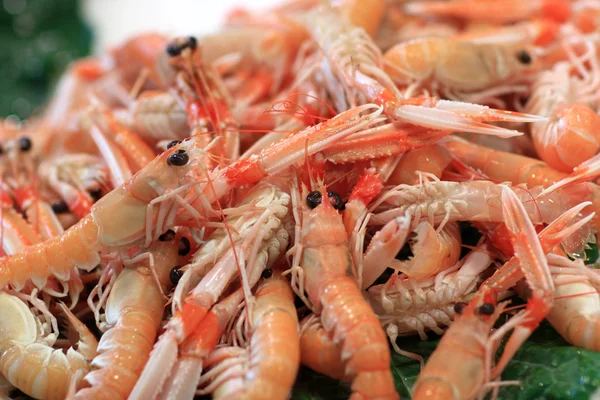 Boiled prawns on market — Stock Photo, Image